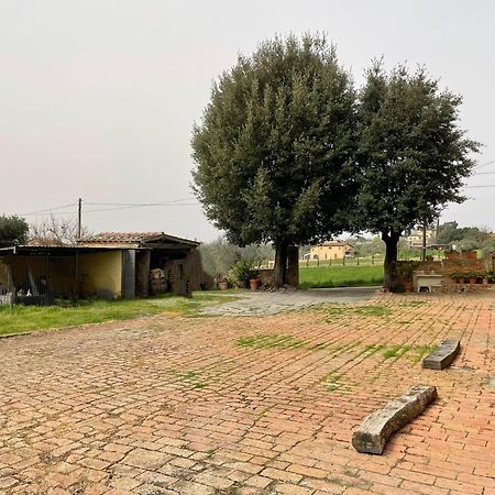Podere Piazza Siena Eksteriør bilde