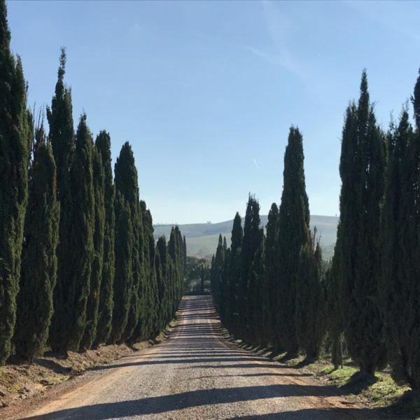 Podere Piazza Siena Eksteriør bilde